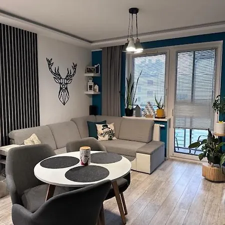 Pawel I Tomek * Ostróda